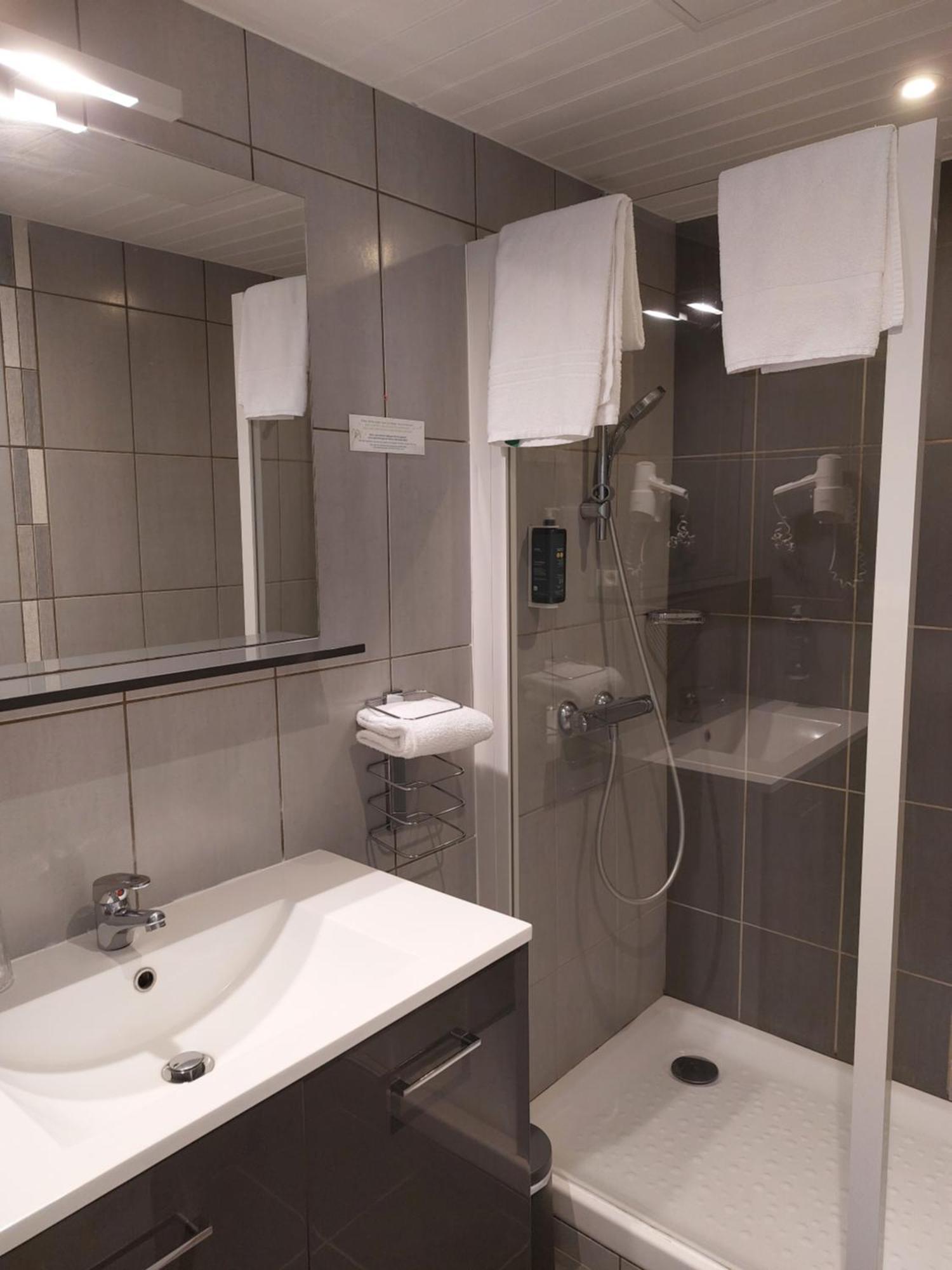 Brit Hotel Roanne - Le Grand Hotel Εξωτερικό φωτογραφία